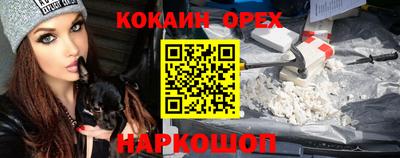 индика Камышлов