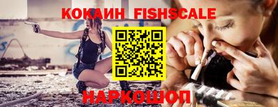 индика Камышлов