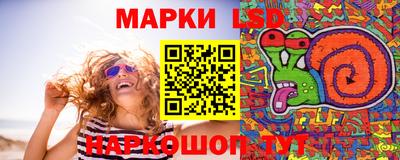 индика Камышлов