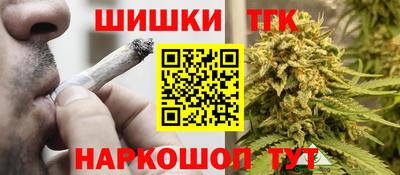 индика Камышлов