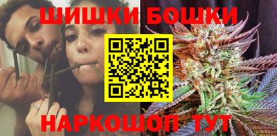 индика Камышлов