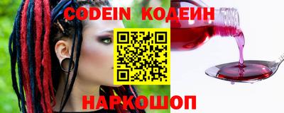индика Камышлов