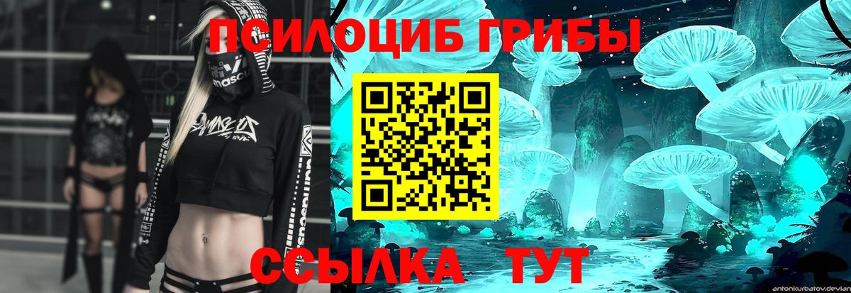 Канск  Галлюциногенные грибы мицелий  Вход с VPN 